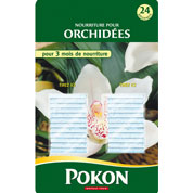 Bâtonnets Nutritifs Orchidées - Pokon